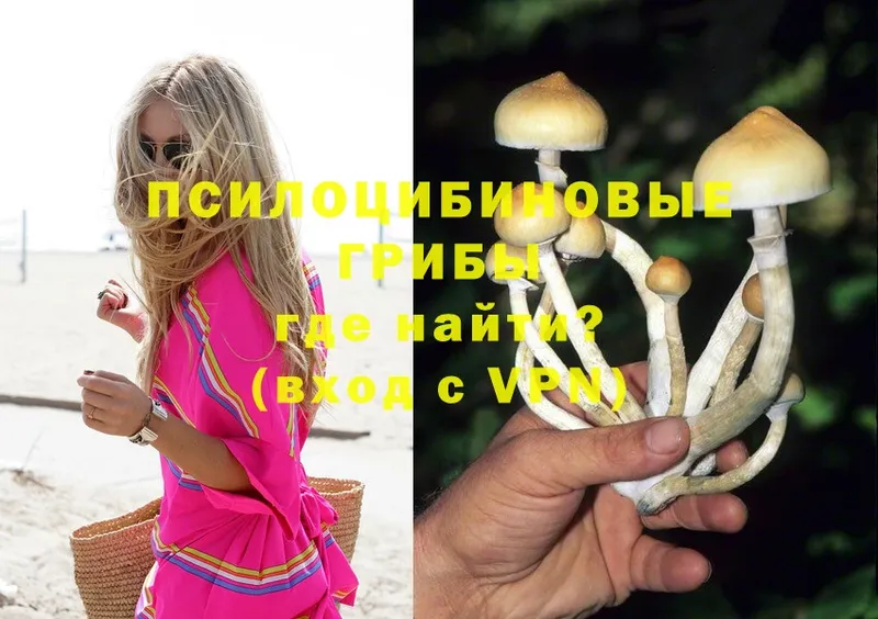 Псилоцибиновые грибы Magic Shrooms  купить наркотик  Губкинский 